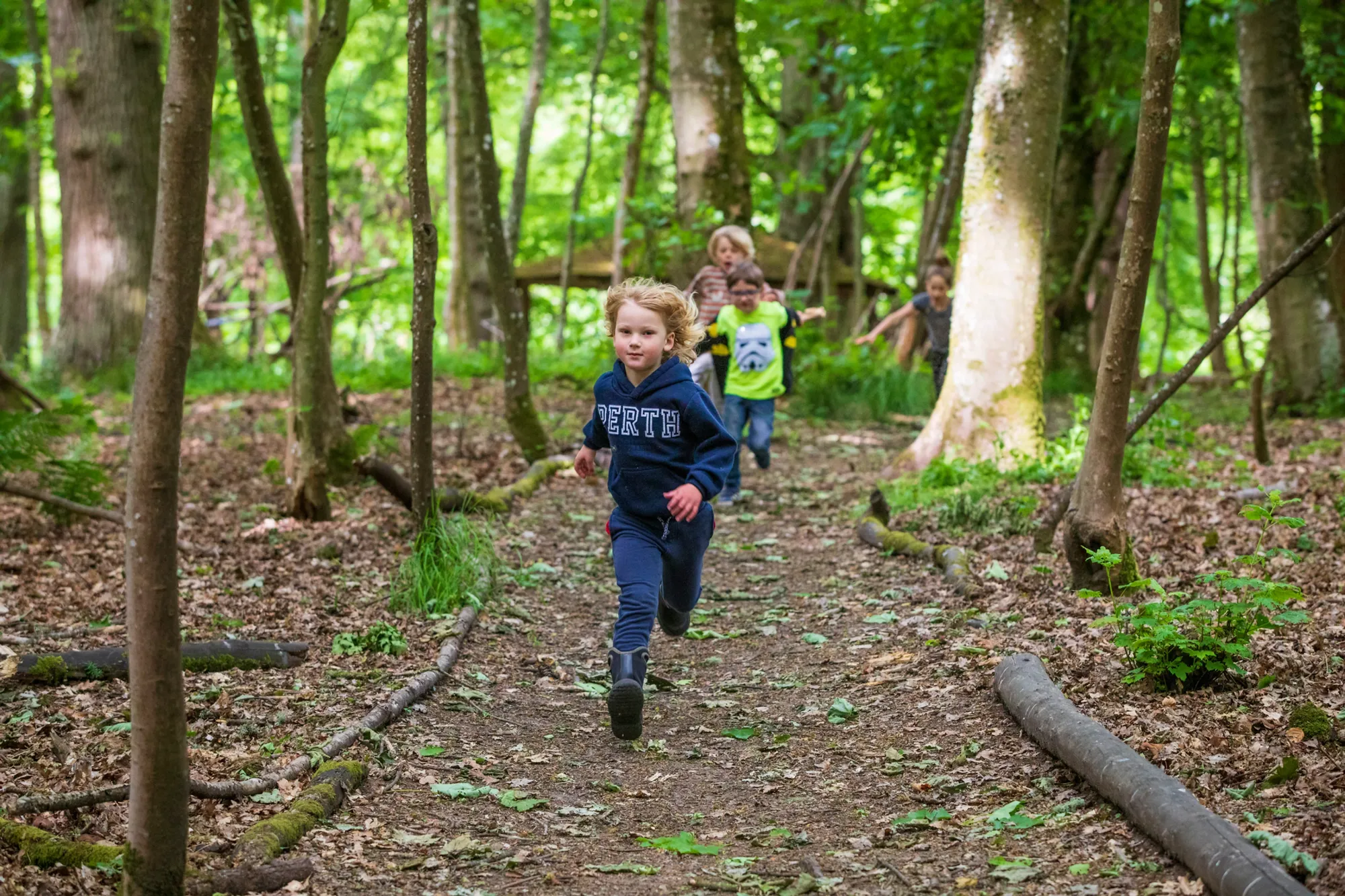 Photograph of children running through a managed woodland setting, with sunlight shining on the tree trunks