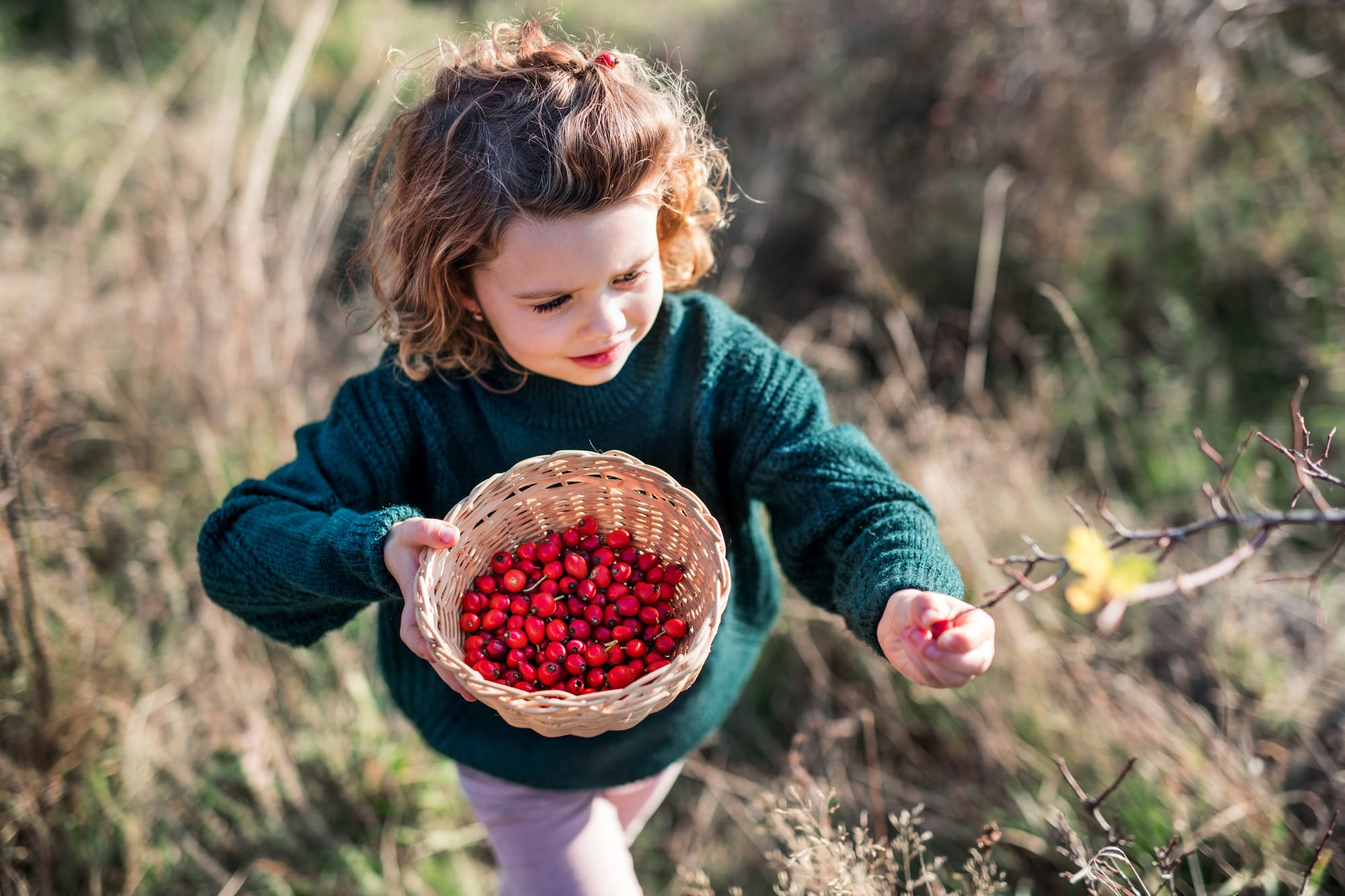 Fifteen Fun and Cheap Things To Do With Your Family in September