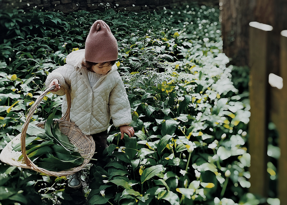 Wonders of Wild Garlic