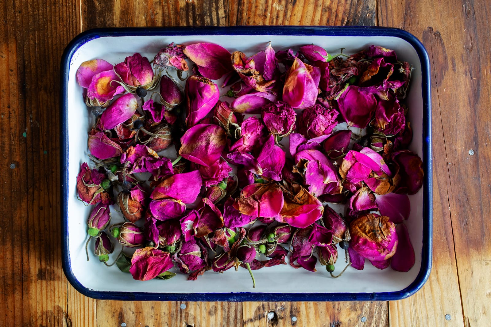 An enamel dish containing rose buds and petals in a vibrant dark pink hu