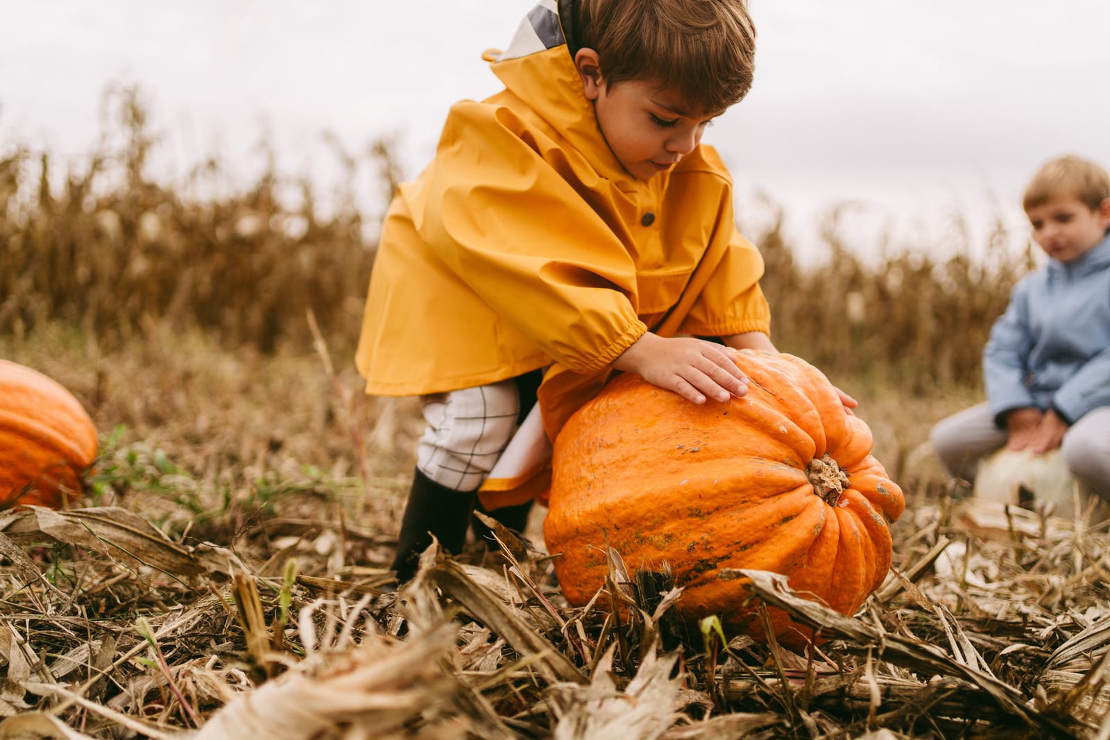 13 of the Best Pumpkin Patches in the UK