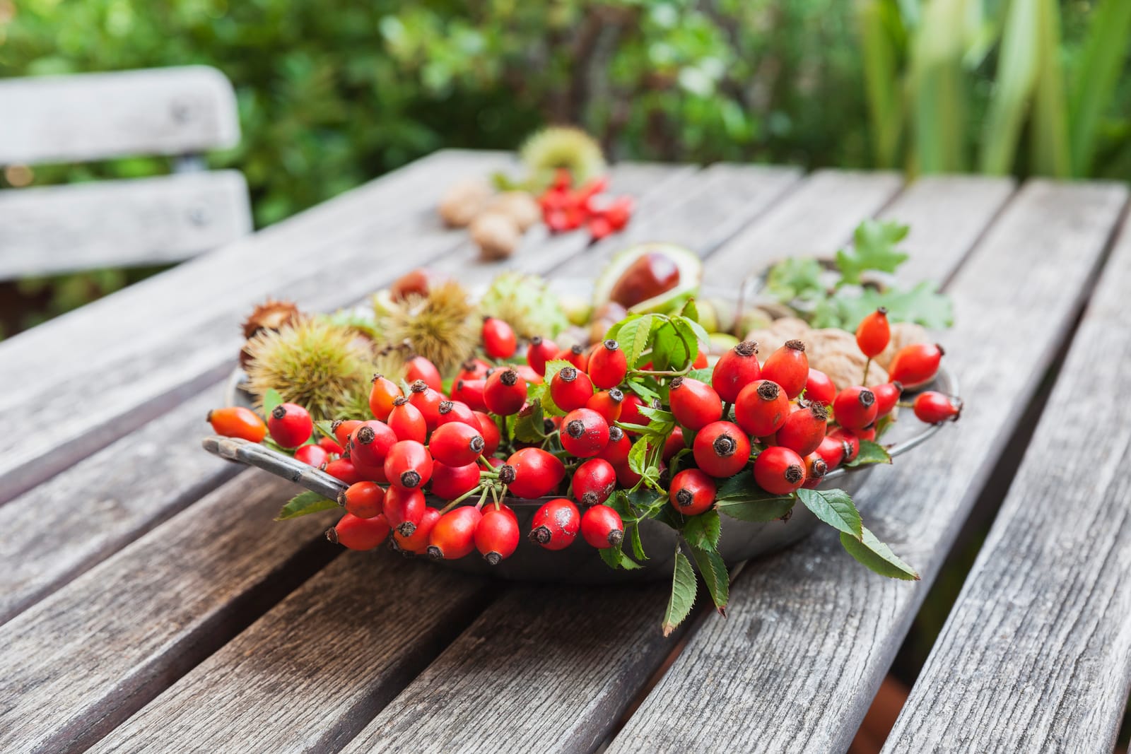 Make Your Own Rosehip Tonic