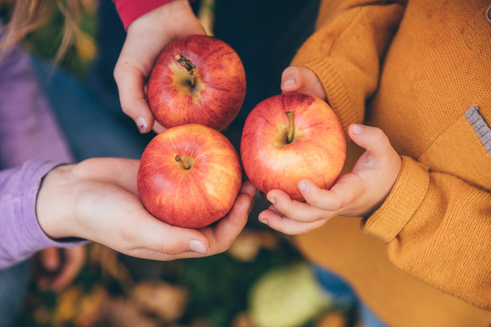 Why We Saved an Orchard