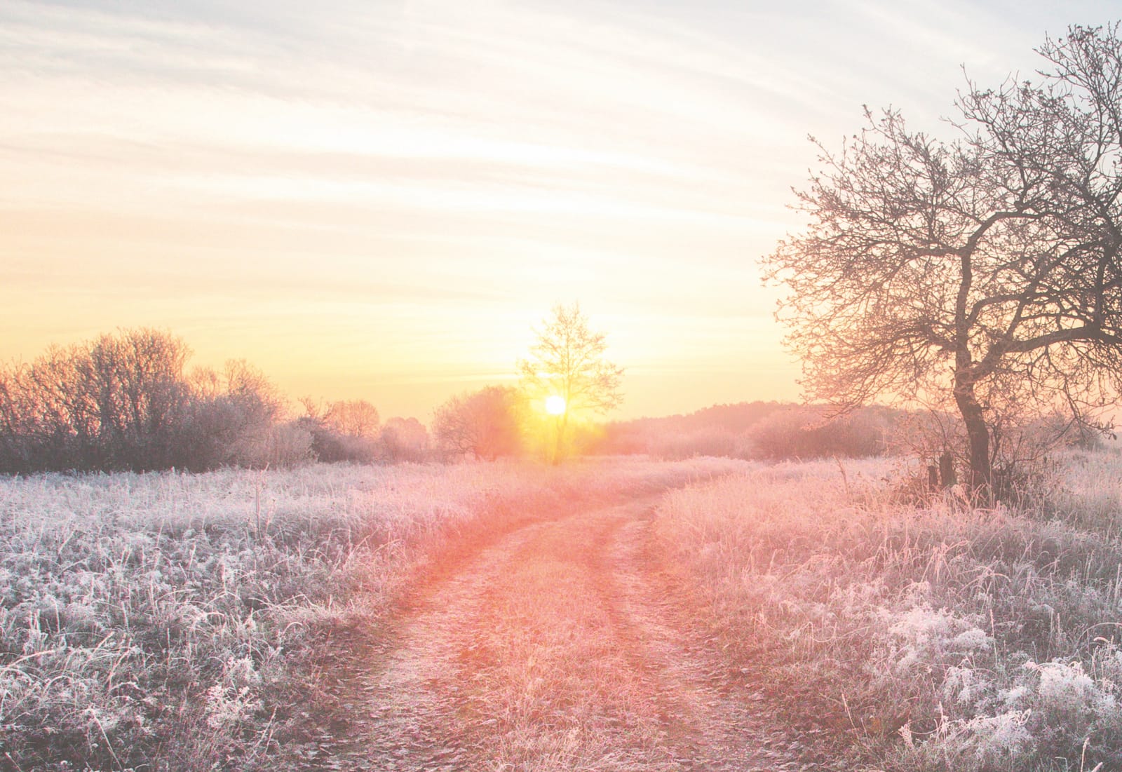 Sacred Sunday: The Art of Mindful Walking