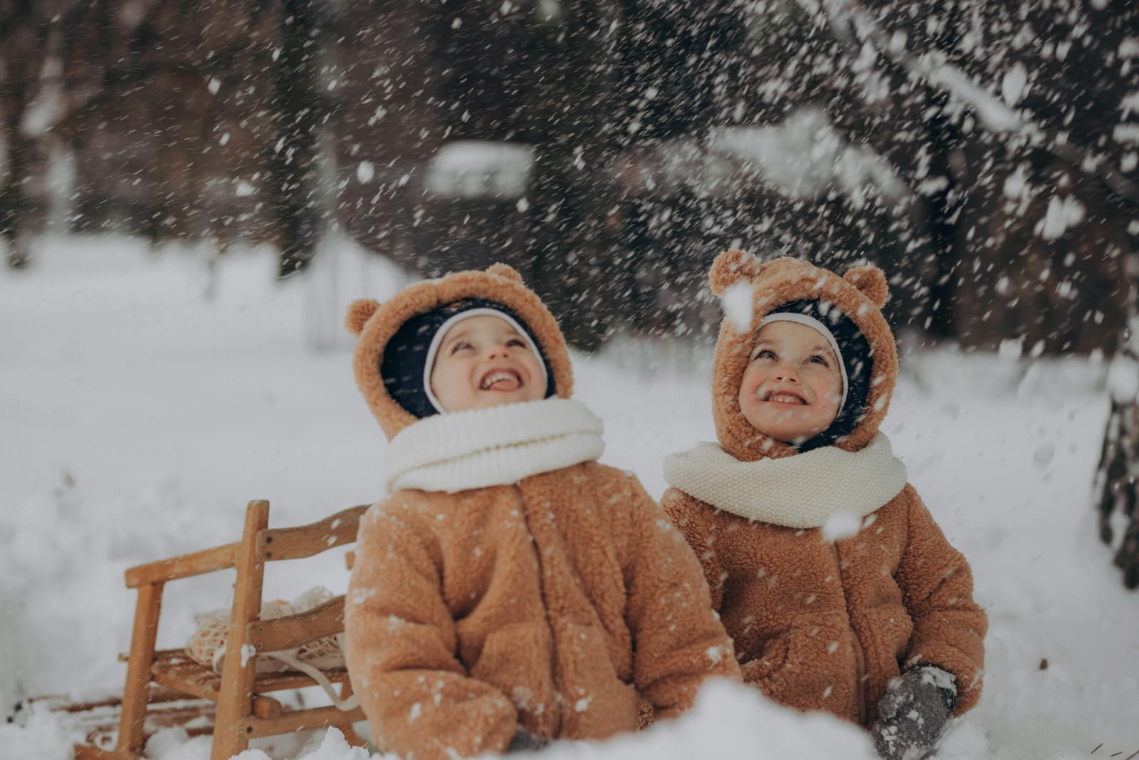 17 Things To Do With Your Family In January