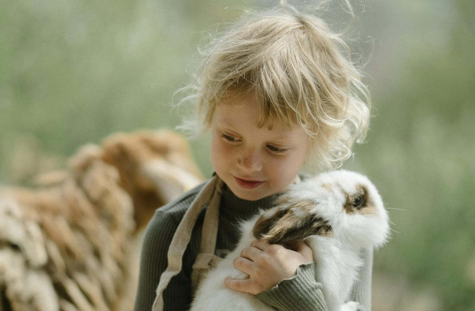 A child with fluffy hair and khaki jumper cuddles a fluffy rabbit