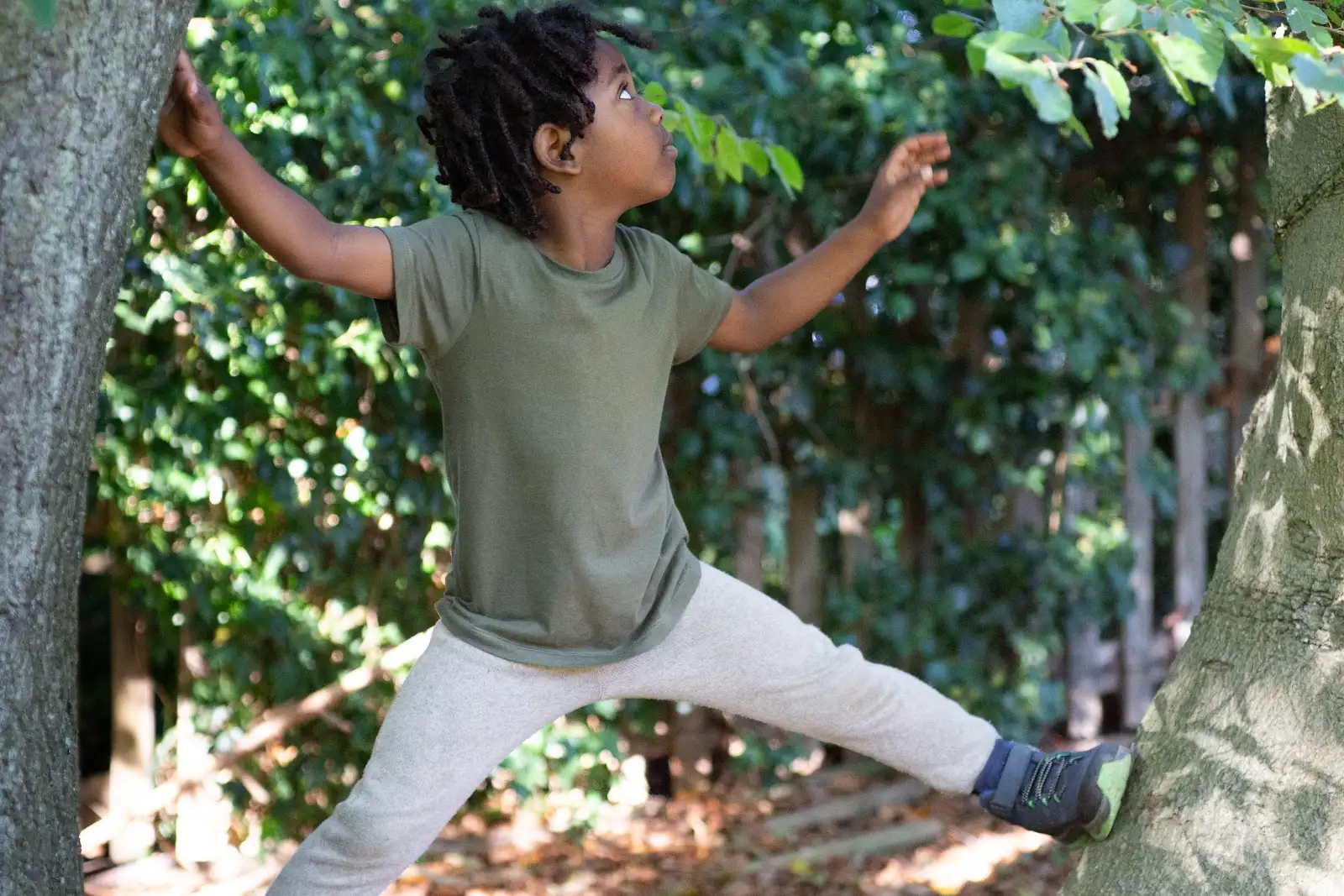 Discover Wildwood Nature School: A New Kind of Primary Education