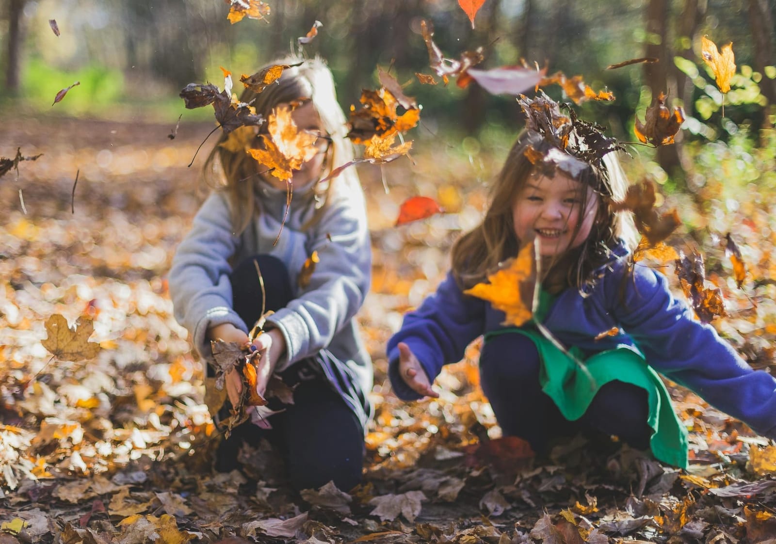 11 Cheap and Free Things To Do With Your Family In November