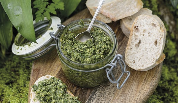 Photograph of a jar of nettle pesto nestled in the undergrowth with some slices of bread alongside.