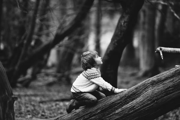 A young boy kneels on a tree in the middle of a forest