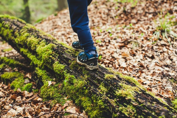 Why I Trained as a Forest School Teacher