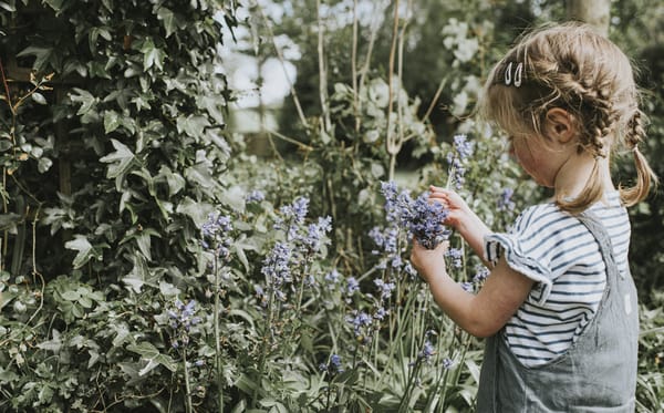 Photograph of a young child in dungarees with plaited hair, picking flowers 