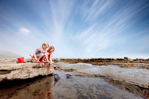 Photo of kids crouching on a rock near the sea, with nets and buckets for rockpooling