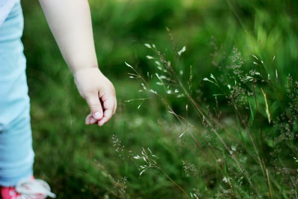 Photograph of a child's hand against a meadow backdrop with tall grasses