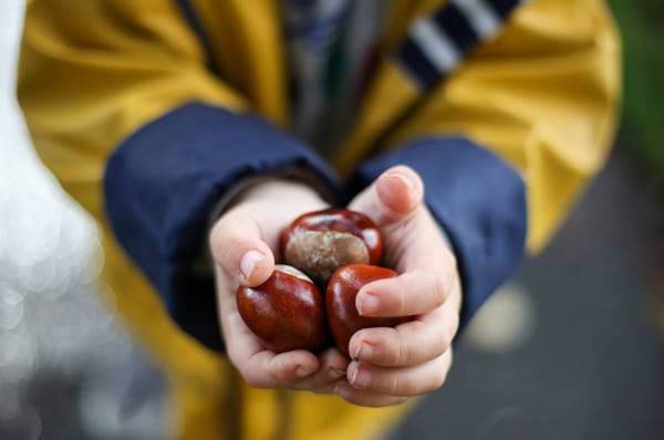 10 Things to do with Conkers