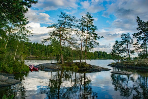 Let Nature be Your Guide when Raising Children