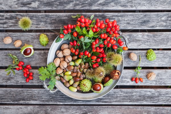 Make a Natural Advent Calendar