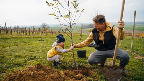 father child planting tree